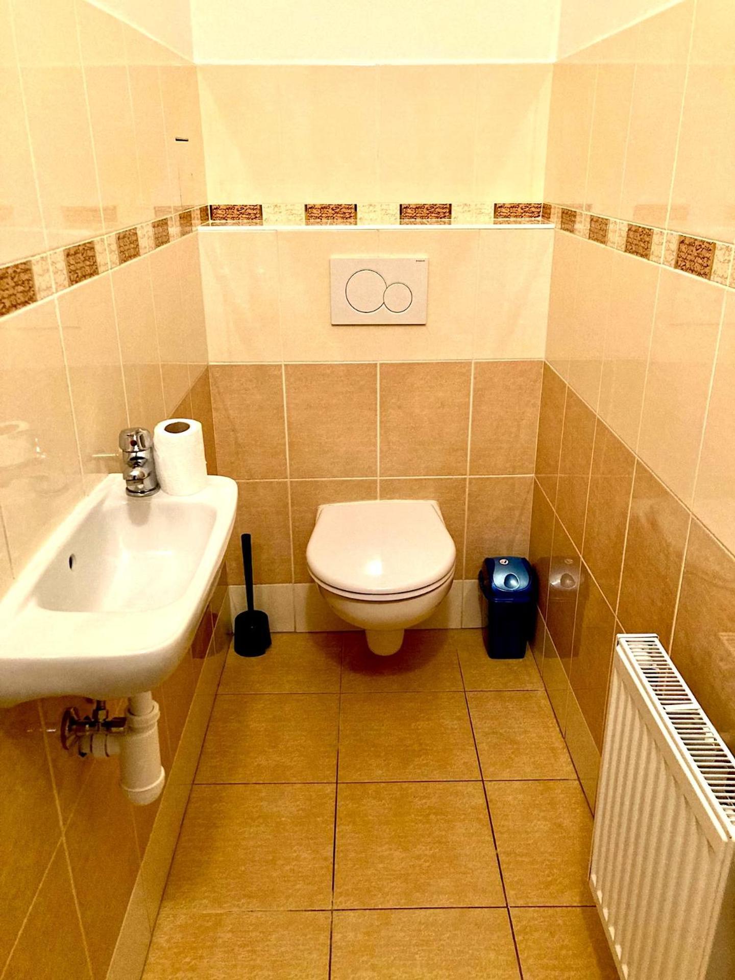Valentine'S National Museum Apartments Prága Kültér fotó